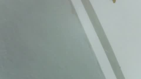 Snapshot of pretty_rose_ chatting on November 2025 08:24:01 AM Rose online show from November 2025 08:24:01 AM