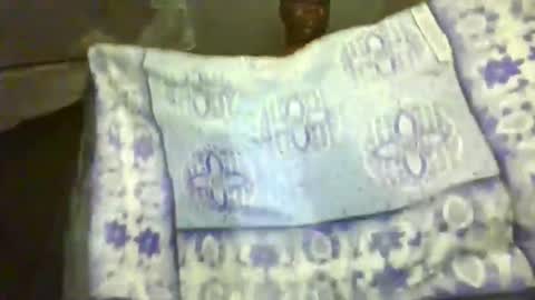 Snapshot of prettydulce chatting on May 2026 02:20:02 AM prettydulce online show from May 2026 02:20:02 AM
