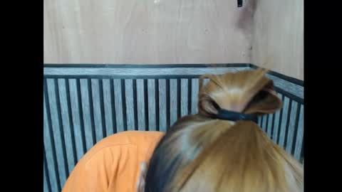 Kate online show from November 2025 06:08:01 PM