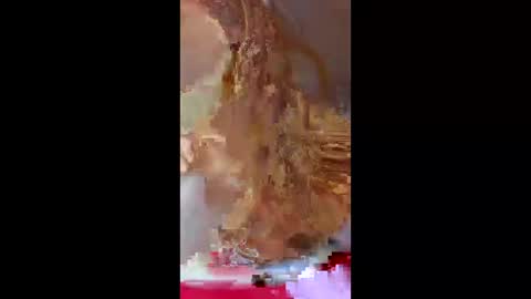 prettymoneychaser online show from April 2026 08:12:02 PM