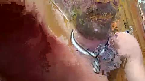 prettysolidd7 online show from December 2024 02:42:01 AM