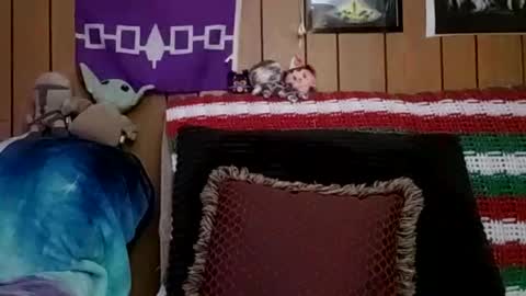 prettysolidd7 online show from January 2025 06:09:01 AM