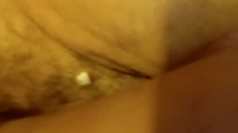 primo19cm online show from July 2026 02:53:02 AM
