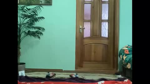 proud sweet 21 online show from April 2026 03:02:01 PM