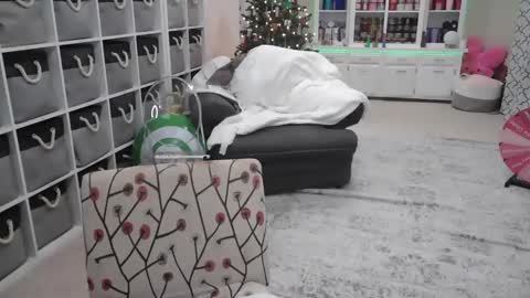 Puggie -  online show from December 2024 11:01:02 PM