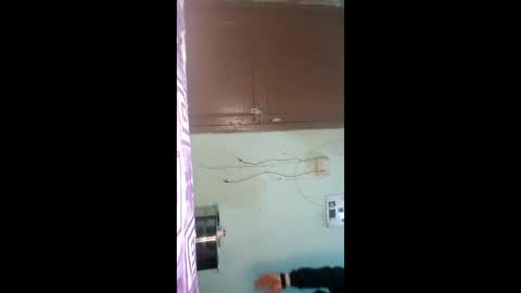 Punjabi playboy online show from January 2026 10:20:01 AM