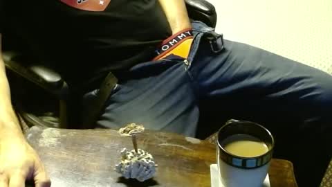 Snapshot of punkypapi chatting on October 2025 12:31:01 AM Jojo online show from October 2025 12:31:01 AM