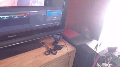 Pup Jake wants to play online show from November 2025 01:59:02 PM