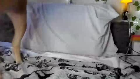 Rhys online show from February 2025 02:38:01 AM