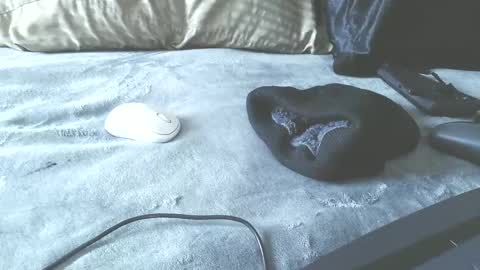 Puppah626  Phoenyx 39s Room online show from January 2025 06:44:01 PM