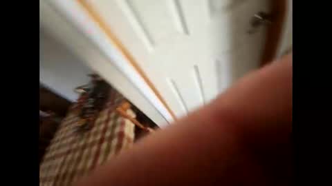 purdyguy7777 online show from February 2025 05:53:02 PM