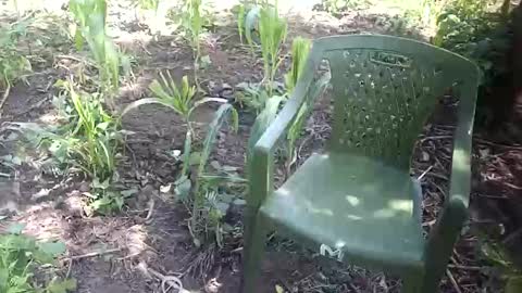 Snapshot of purebae chatting on November 2025 08:59:02 AM purebae online show from November 2025 08:59:02 AM