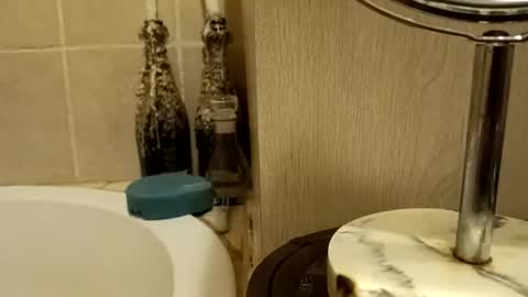 purecharismacpl online show from February 2026 10:21:01 PM