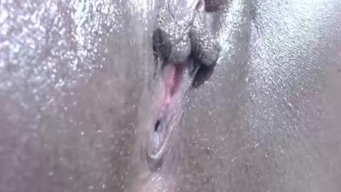 purity8 online show from March 2026 11:36:01 AM