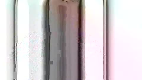 Alice online show from February 2026 05:05:02 PM