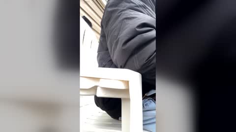 pyrex8 online show from January 2026 02:41:01 PM