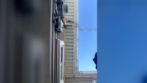 pyrex8 online show from February 2026 02:32:02 PM