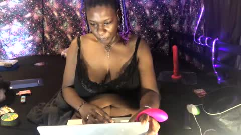 qnibee online show from November 2025 01:13:01 PM