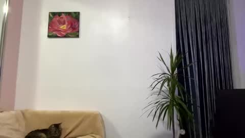 Viktoria online show from January 2025 12:32:02 PM