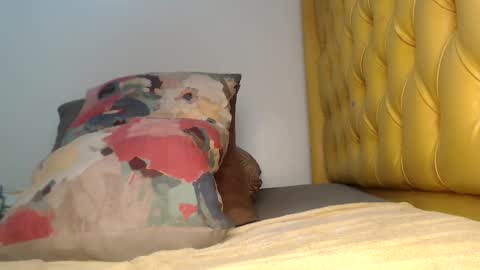 valdonte online show from November 2025 02:12:02 AM