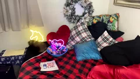 Quinn bets online show from December 2024 02:33:02 AM