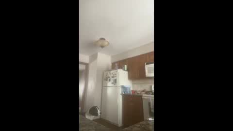 rabbi_poolnoodle online show from January 2026 07:51:02 PM