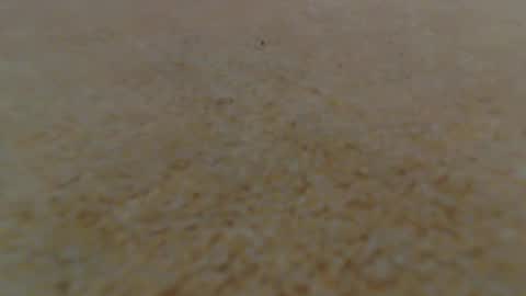 Snapshot of racefliege chatting on January 2025 06:02:02 AM racefliege online show from January 2025 06:02:02 AM