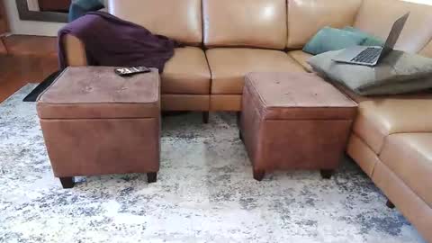 DressSock Shoe online show from February 2026 02:59:01 AM