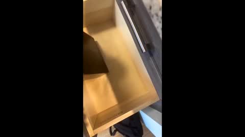 Rainbow Randolf online show from November 2025 07:57:01 PM