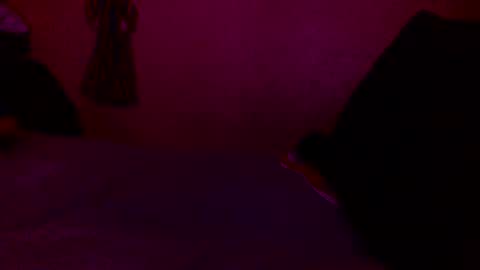 randobad12 online show from January 2025 10:06:02 PM