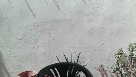 Ran online show from April 2026 11:02:02 AM