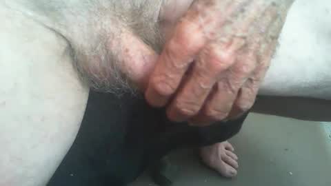 rattcatt online show from February 2025 10:05:01 AM