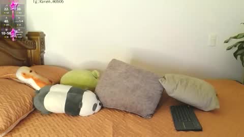 Raven online show from November 2025 01:37:01 AM