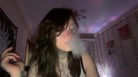 raven_armor online show from May 2026 03:50:02 PM