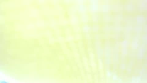 Ravenfox  online show from March 2026 01:44:02 PM