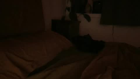 Snapshot of ravenousbttm chatting on February 2025 06:51:02 AM sebas online show from February 2025 06:51:02 AM