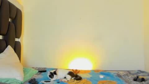 Rayn online show from November 2025 04:40:01 PM