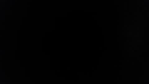 rayolex online show from February 2025 10:22:01 AM