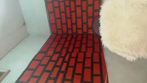 cindy online show from December 2024 05:15:01 AM