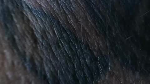 realrubpirate online show from September 2025 08:51:02 AM