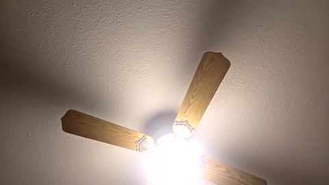 red24devils online show from December 2025 05:04:02 AM