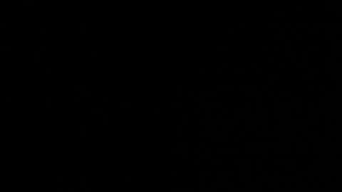 Neta online show from October 2025 12:41:02 AM