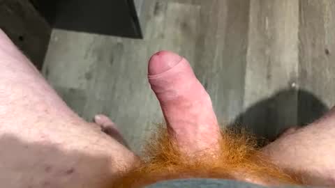redbeard275 online show from January 2026 04:32:02 PM