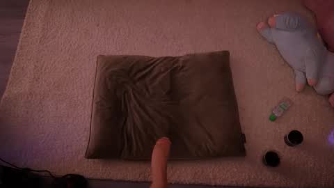 Redhead Shark online show from February 2026 01:18:01 PM