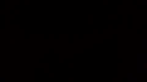 SturdyBear online show from January 2026 11:37:02 AM