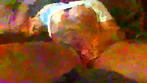 redtxchopper online show from November 2025 01:33:02 AM