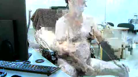 region4 online show from April 2026 06:10:01 PM