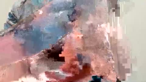 reharted online show from April 2026 05:49:02 AM