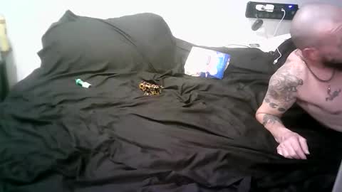 remshotdt online show from March 2026 05:48:02 AM