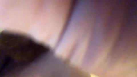 remybear online show from January 2025 09:51:02 AM
